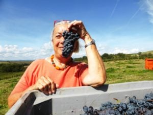 Vendemmia Brunello 2015 Montalcino