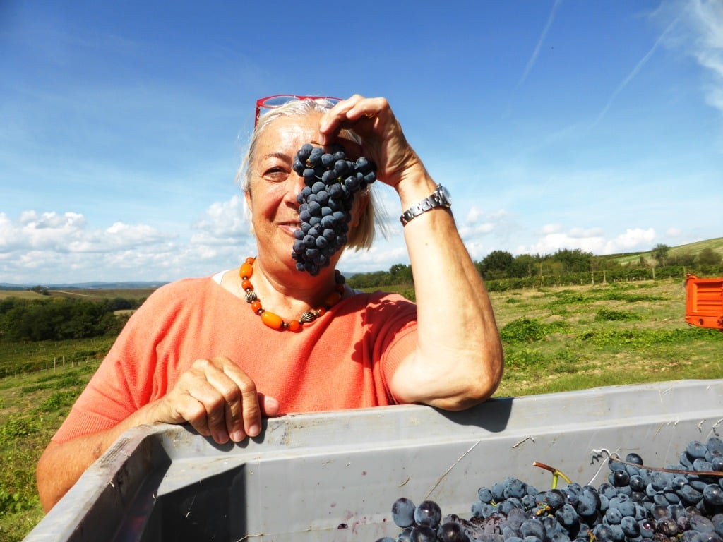 Vendemmia Brunello 2015 Montalcino