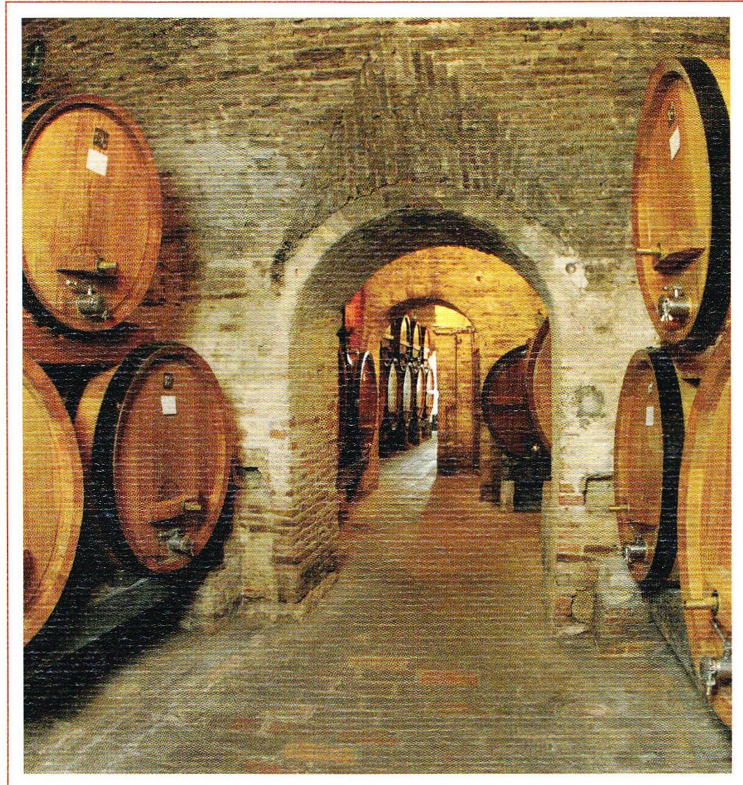 botti-contucci Montepulciano