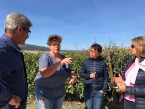 Orcia DOC 26 settembre 2018 Efisio Luche Barbara Magnani Violante Gardini e Valerie Lavigne decidono il calendario della vendemmia