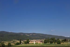 Sangiovese Montalcino