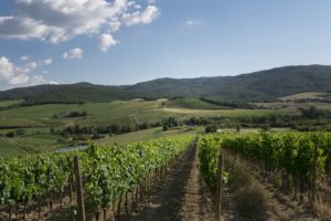 Brunello di Montalcino Casato Prime Donne