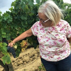 Sangiovese Vendemmia 2018 Montalcino