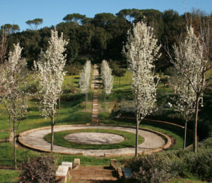 Bosco della Ragnaia