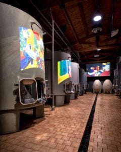 Turismo del vino Montalcino Toscana