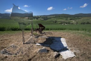 Trekking-nei-vigneti-Casato-Prime-Donne-Montalcino