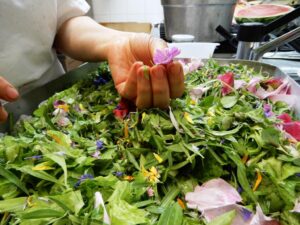 Orcia-erbe-spontanee-per-la-zuppa-di-pane