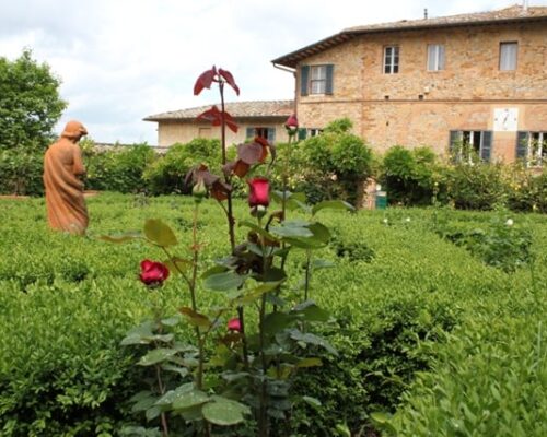 wine-destination-trekking-nelle-vigne-Fattoria del Colle - Agriturismo in toscana
