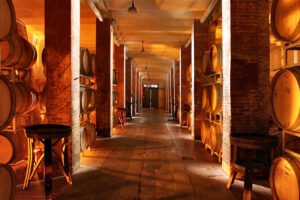 Capezzana-cantina