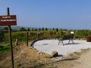 Fattoria del Colle punto panoramico autunno