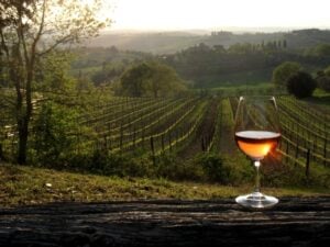 #winewindow-Donne-del-Vino