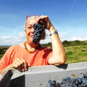 Vendemmia-2014-Donatella-Cinelli-Colombini-Casato-Prime-Donne-Montalcino