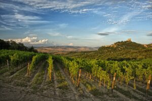 Orcia-Doc- Brindisi-con-vista-Rocca d'Orcia vigne