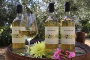 IGT-Toscana-bianco-Sanchimento-Donatella-Cinelli-Colombini-Fattoria-del-Colle