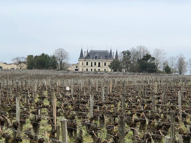 Bordeaux-vigneto