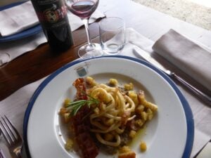 Vendemmia-experience-alla-Fattoria-del-Colle-Toscana