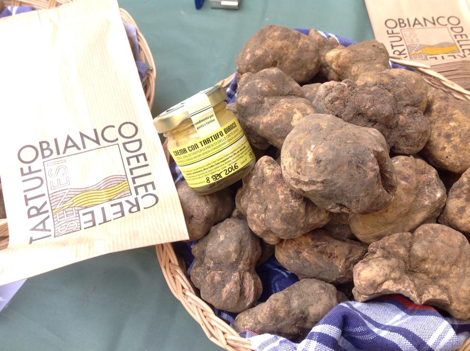 Tartufo-bianco-delle-crete-senesi-weekend-per-cercarlo e-assaggiarlo