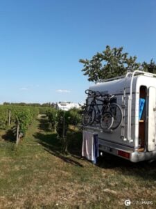 divisione-di-ruoli-fra-reale-e-virtuale-nel-vino-vince-la-wine-experience-en-plein-air