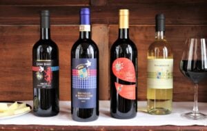 Offerta-Club-Donatella-Brunello-Orcia-Doc-Supertuscan-IGT