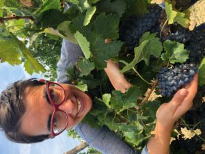 Merlot- il vigneto del mondo parla francese