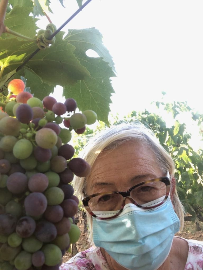 Sangiovese invaiatura 2020 - Fattoria del Colle - Doc Orcia