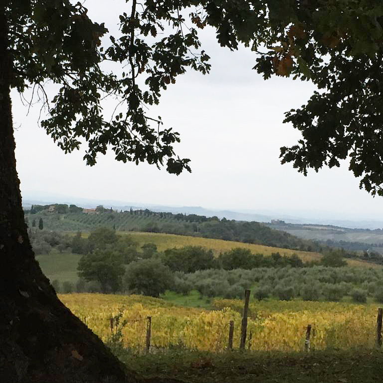 Foliage-Toscana-Fattoria-del-Colle-autunno