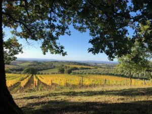 Foliage-Toscana-Fattoria-del-Colle-autunno