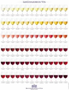 esame visivo del vino: colore