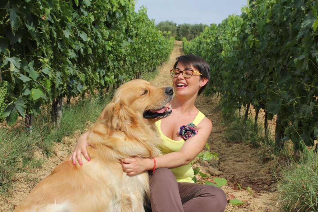 wine-dogs-Violante e Felix nel vigneto di sangiovese