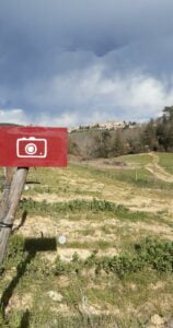 Wine destination Fattoria del Colle - Safari fotografico