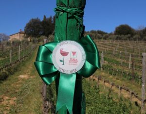 Donne Vino e Ambiente - Festa delle Donne del Vino 2021