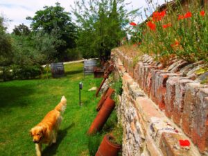 Smart working e vacanza in Toscana alla Fattoria del Colle