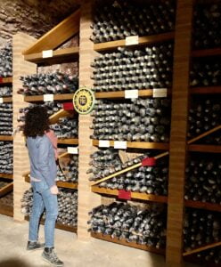 Fattoria del colle: cantina di annate storiche di Brunello