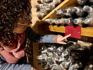 Brunello antiquario, vendite on-line - Donatella Cinelli Colombini