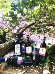 Offerta di 3 bottiglie di Montalcino e di Chianti Classico - Casato Prime Donne di Donatella Cinelli Colombini e Az. Terreno di Sofia Ruhne