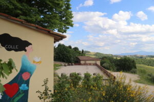 Cantina-di-Cenerentola-Fattoria-del-Colle-Toscana