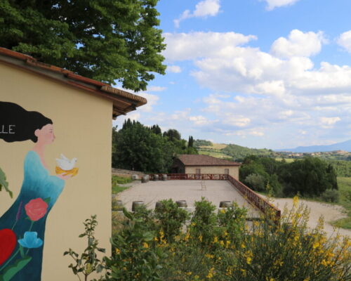 Cantina-di-Cenerentola-Fattoria-del-Colle-Toscana