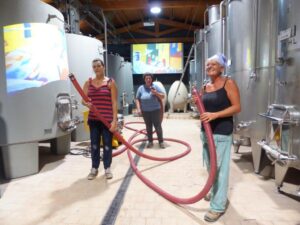 Visite-in-cantina-Casato-Prime-Donne