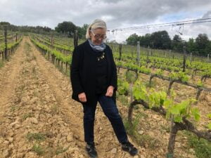 Vigneto-bio-Donatella-Cinelli-Colombini