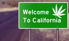cannabis-con-denominazione