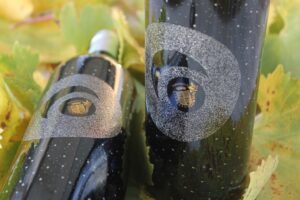 Vino-Morbido-Brunello-IOsonoDonatella