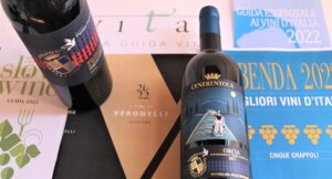 Premi-e-punteggi-Guide-dei-Vini-2022-Donatella-Cinelli-Colombini