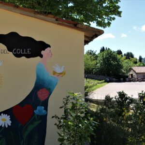 Fattoria del Colle