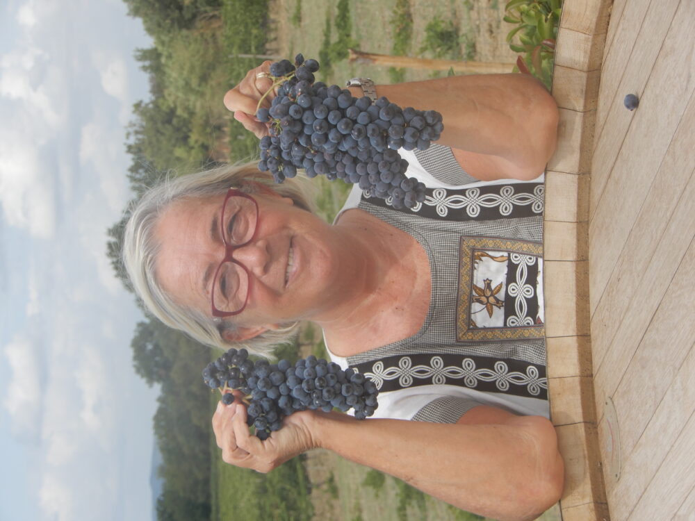 Brunello contro Rosso di Montalcino vini fatti nello stesso luogo con lo stesso vitigno