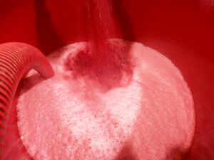 Montalcino-mosto-in-fermentazione- Casato-Prime-Donne