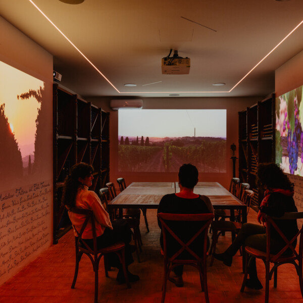 Sala che racconta le vigne