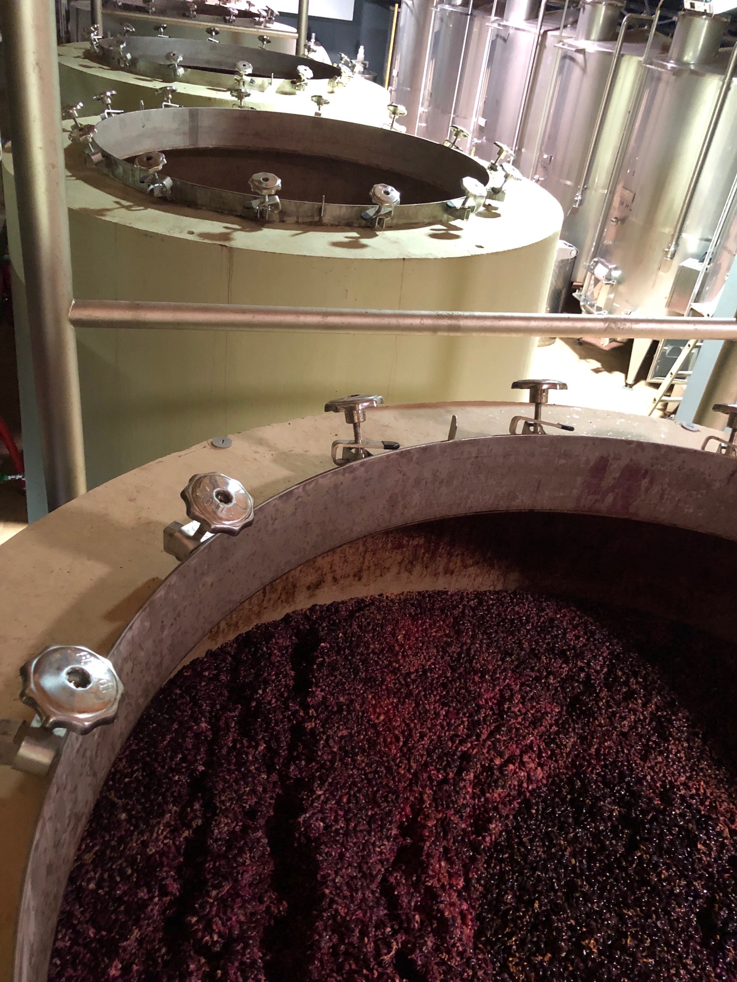 Montalcino-mosto-in-fermentazione-Casato-Prime-Donne
