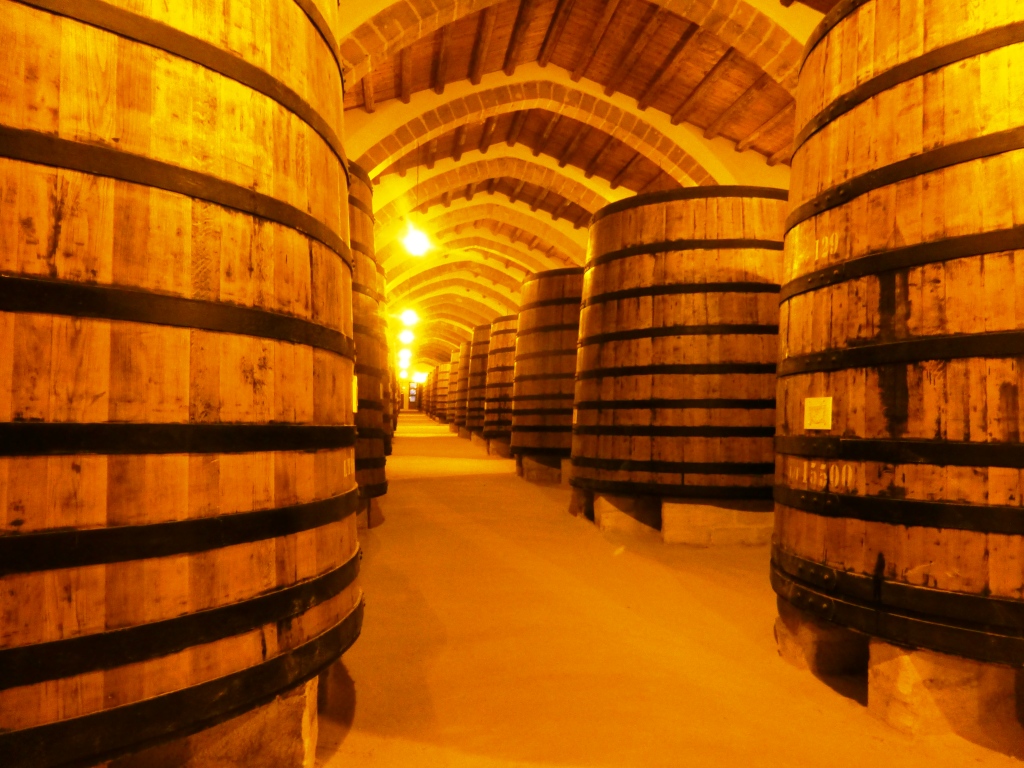 Luoghi-fortemente-identitari-Marsala Cantine Florio bottaia 2