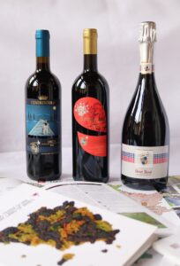 Toscana-vini-2018-offerta-di-marzo-Supertuscan, Spumante-Rosè-Brut-Cenerentola-Doc-Orcia