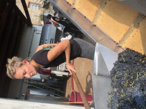 2019-Grape-Harvest-Sabrina-winemaker-Fattoria-del-Colle-Tuscany